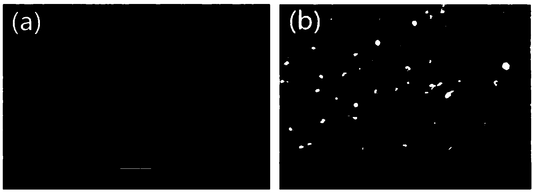 Adsorbent of bacterial cellulose supported lanthanum metal compound, as well as preparation and application of absorbent