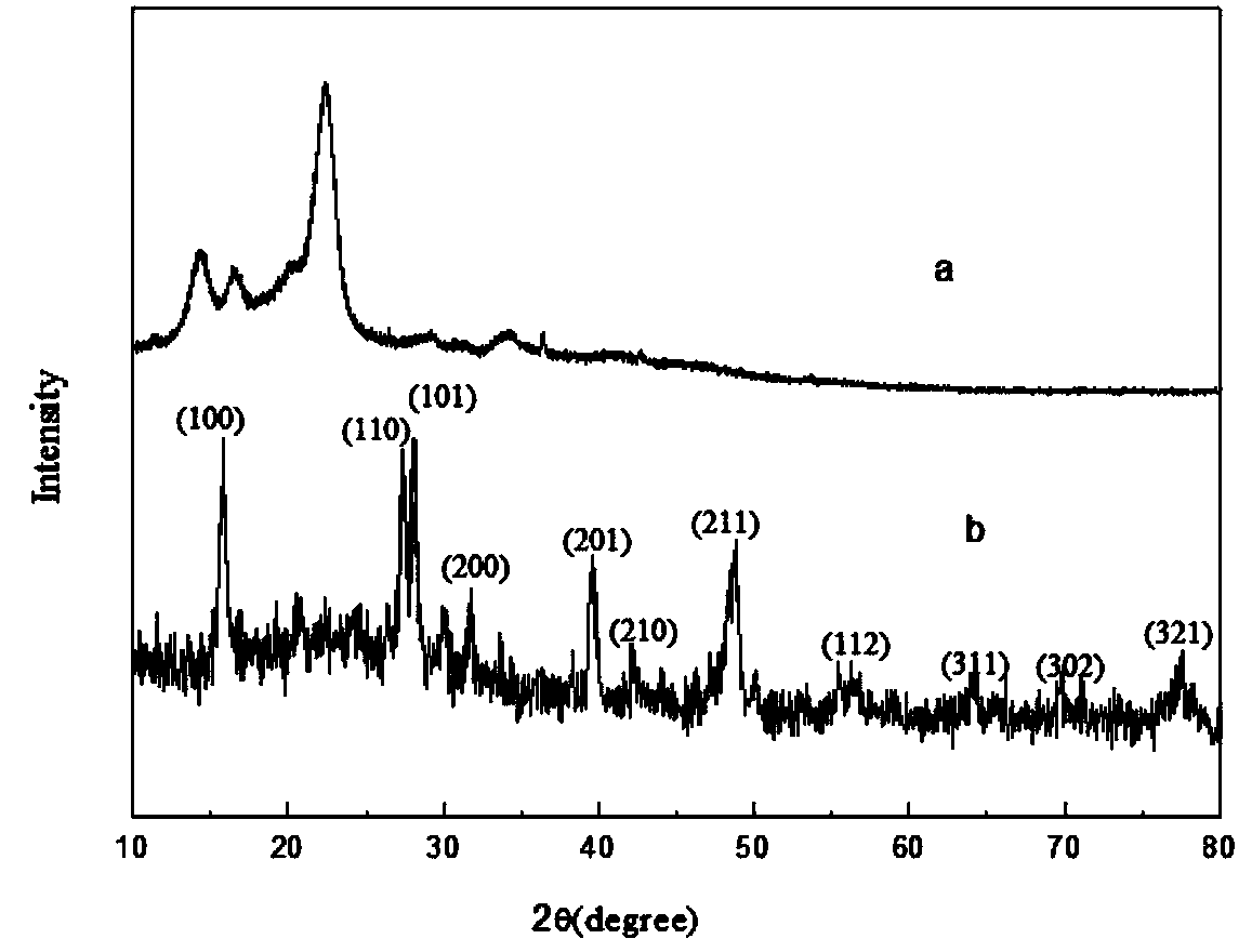 Adsorbent of bacterial cellulose supported lanthanum metal compound, as well as preparation and application of absorbent