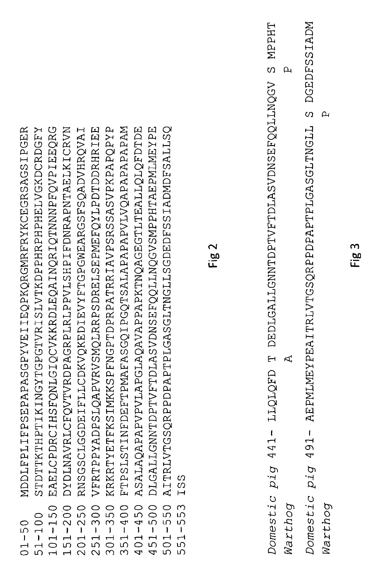 Genetically edited pigs comprising a modification in the RELA gene