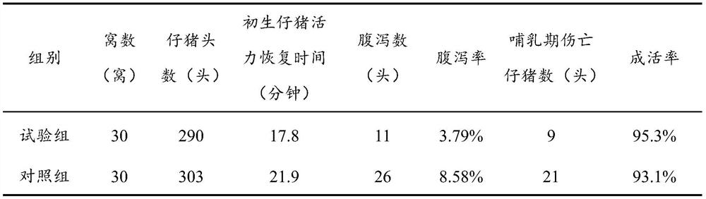 Compound bacterium preparation for sow midwifery and preparation method and application thereof