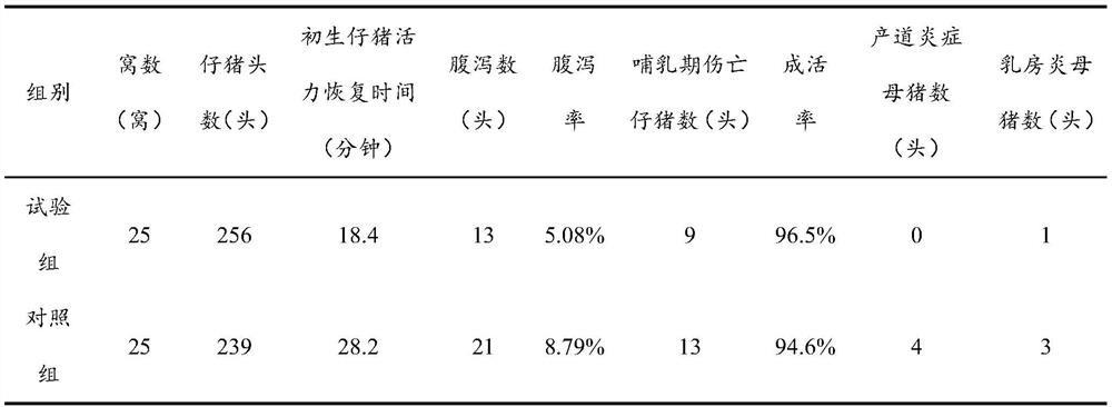 Compound bacterium preparation for sow midwifery and preparation method and application thereof