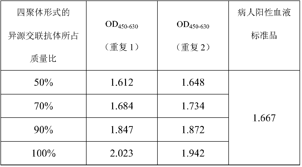 Human cytomegalovirus cross-linked antibody and its application in immunoassay kit