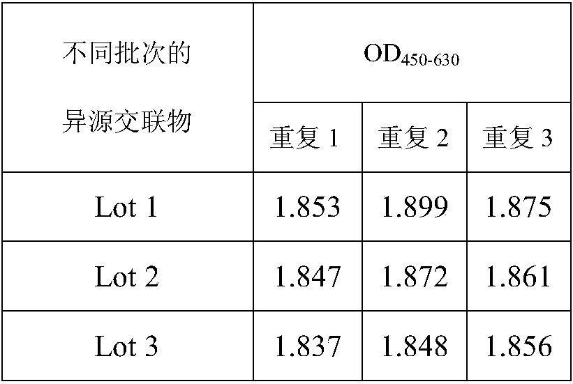 Human cytomegalovirus cross-linked antibody and its application in immunoassay kit