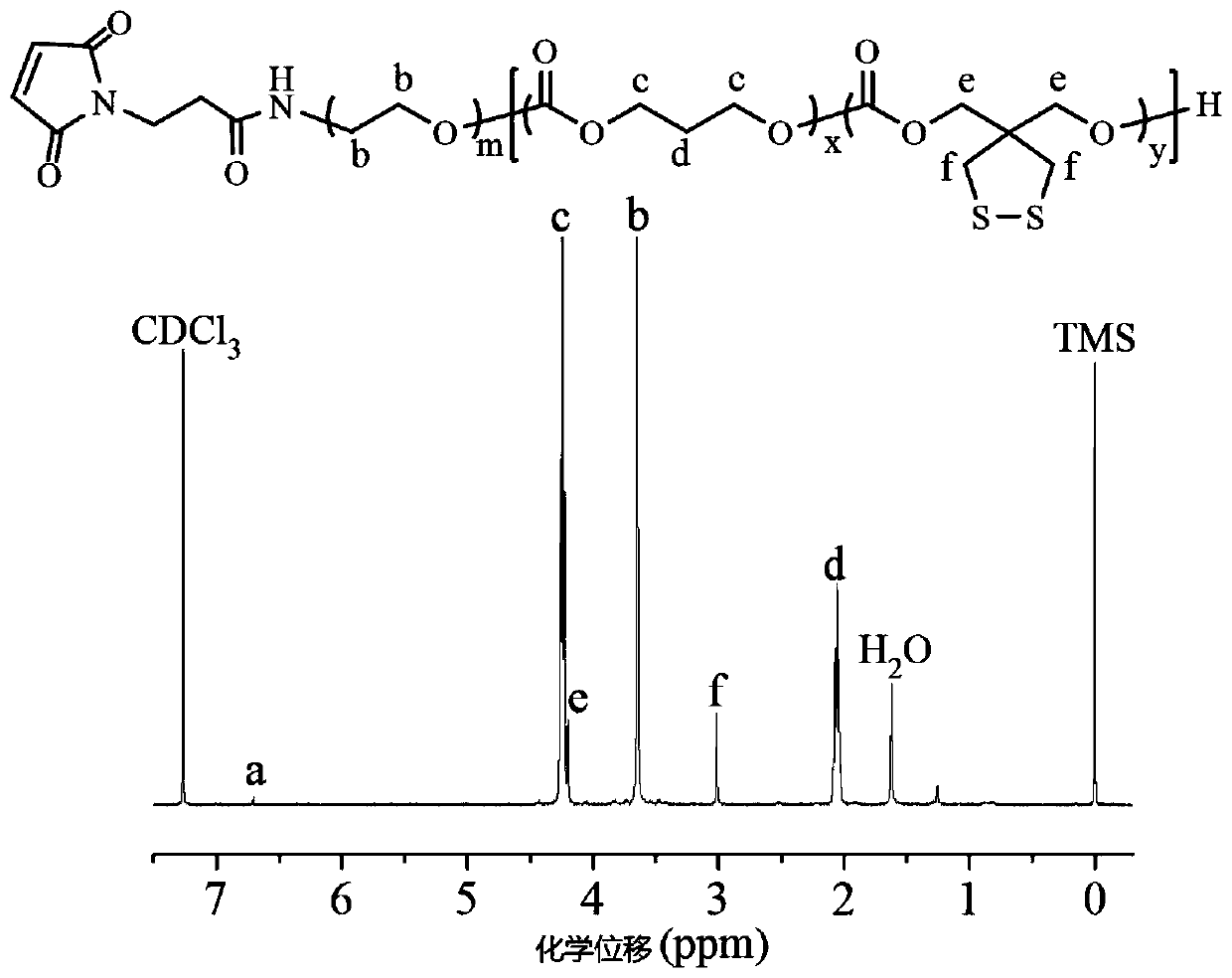 Anti-tumor nano-adjuvant based on cross-linked biodegradable polymer vesicles and preparation method and application thereof