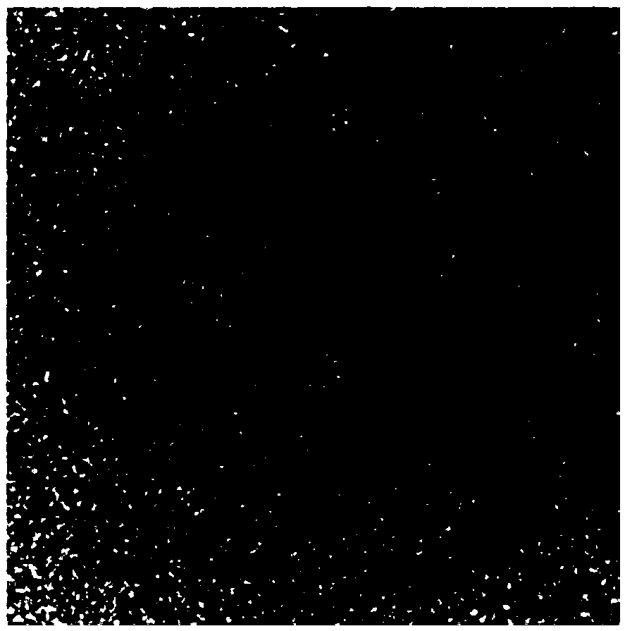 Zinc protoporphyrin nano-crystals and preparation method and applications thereof