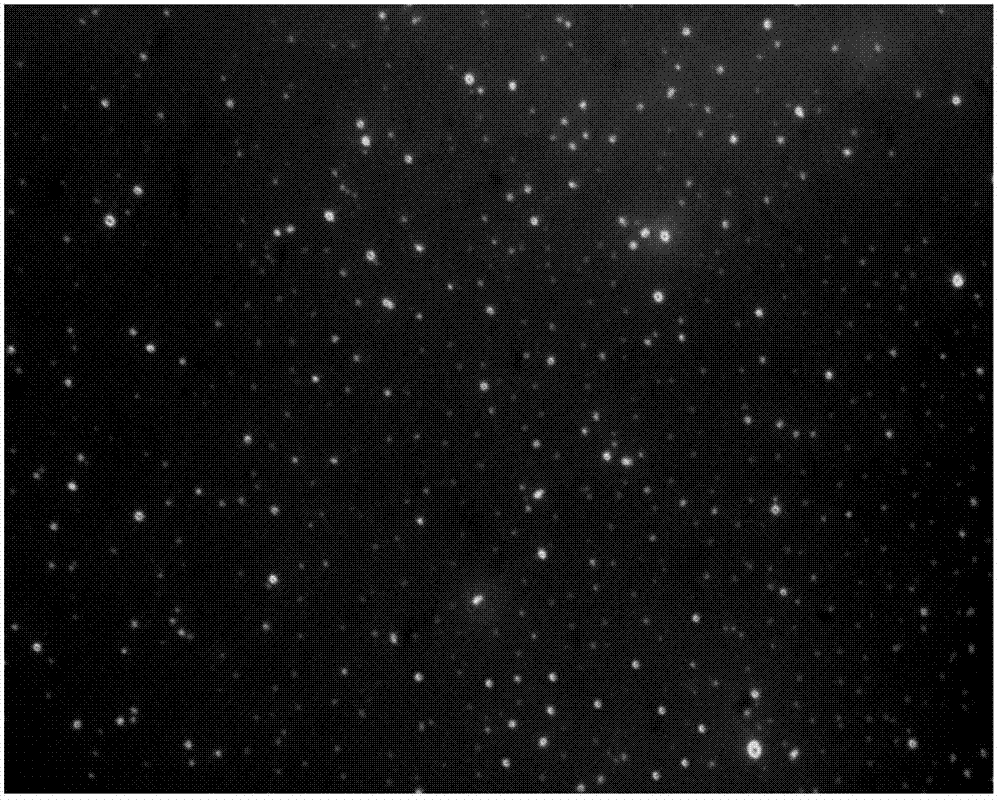 Recombinant human endostatin liposome microbubble and application thereof in preparing medicament for inhibiting tumor angiogenesis under ultrasound mediation