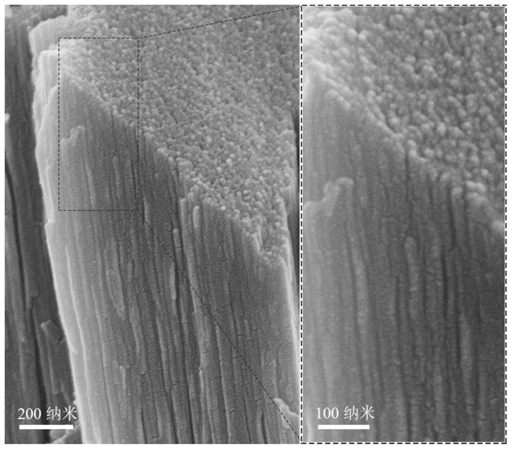 Bismuth-based nanoparticle catalyst as well as preparation method and application thereof