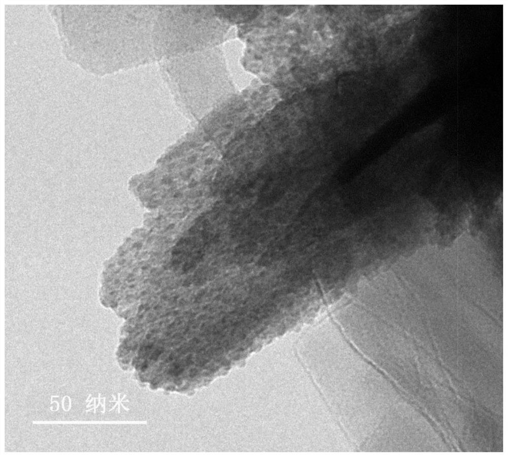 Bismuth-based nanoparticle catalyst as well as preparation method and application thereof