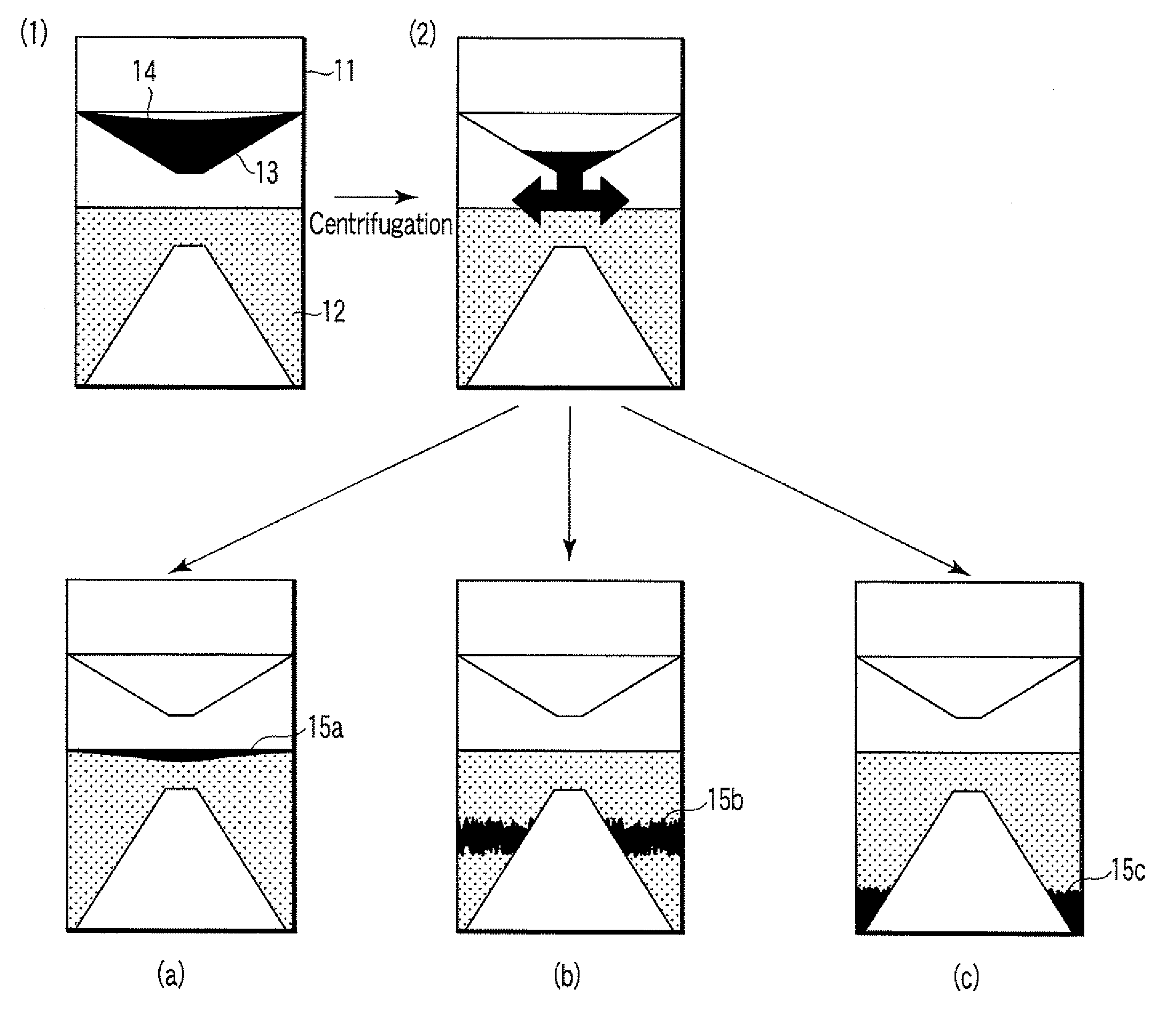 Particle agglutination-evaluating container