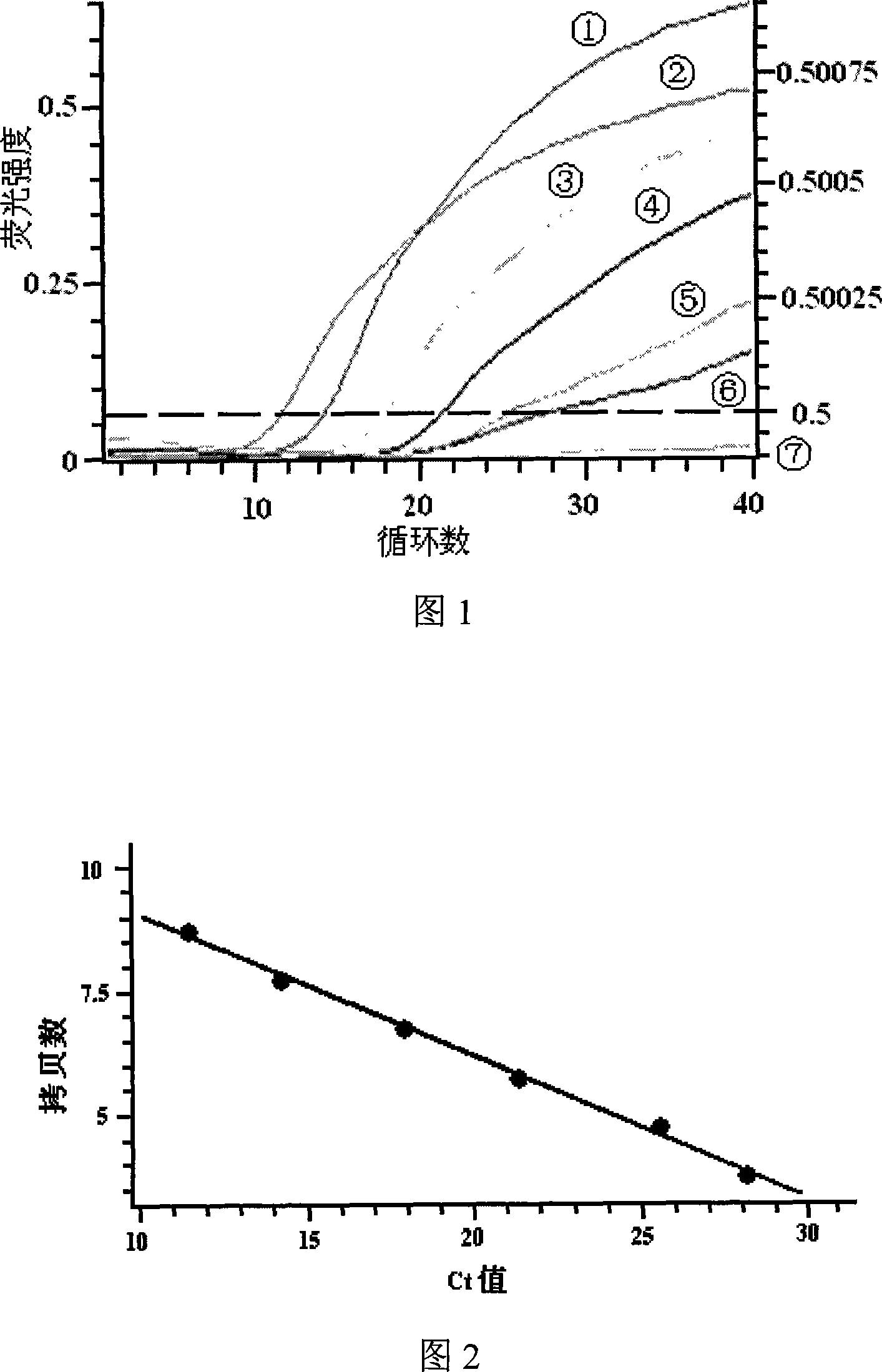 Primer and fluorescent probe for detecting anaerobic denitrifying bacteria