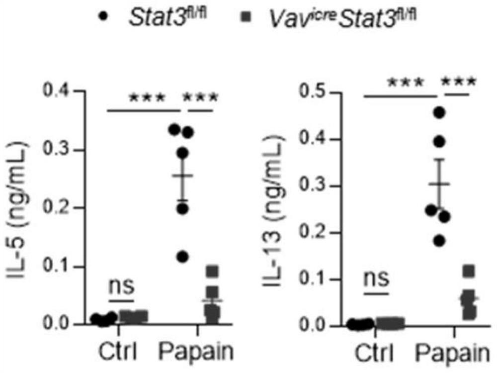 New application of HSP90 inhibitor to inhibition of STAT3 mitochondrial transport and treatment of asthma