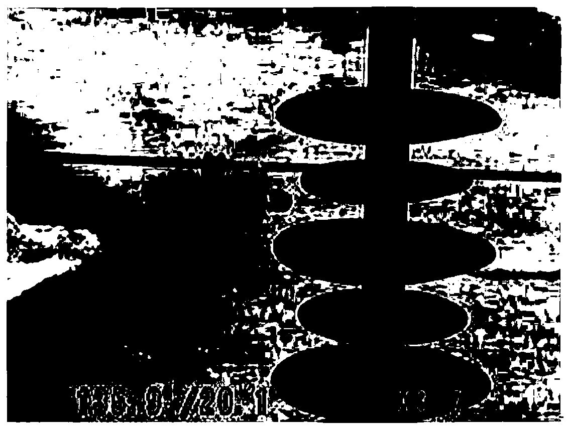 An insulator damage detection method based on elliptic feature fitting