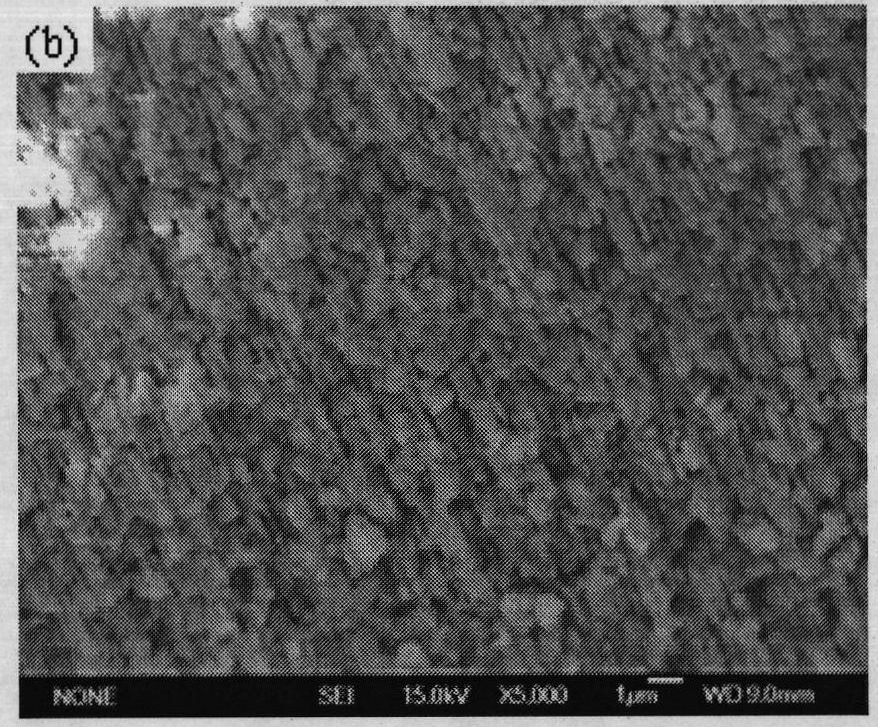 Method for preparing spinel type lithium titanate nanowire array