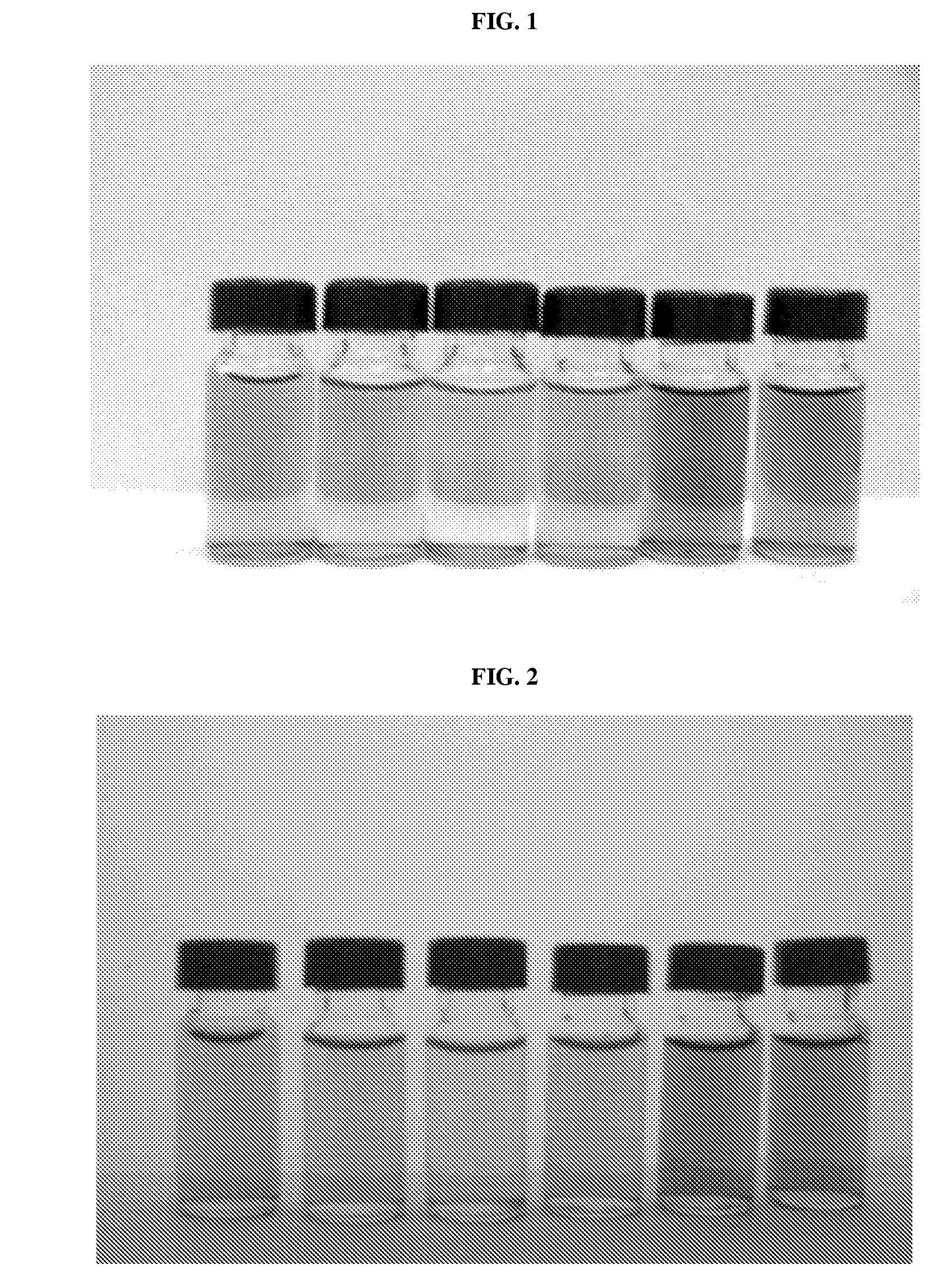 Cosmetic pigment composition containing gold or silver nano-particles