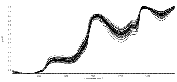 Method for quickly detecting content of glycogen and protein of crassostrea gigas