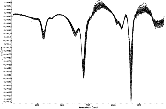 Method for quickly detecting content of glycogen and protein of crassostrea gigas