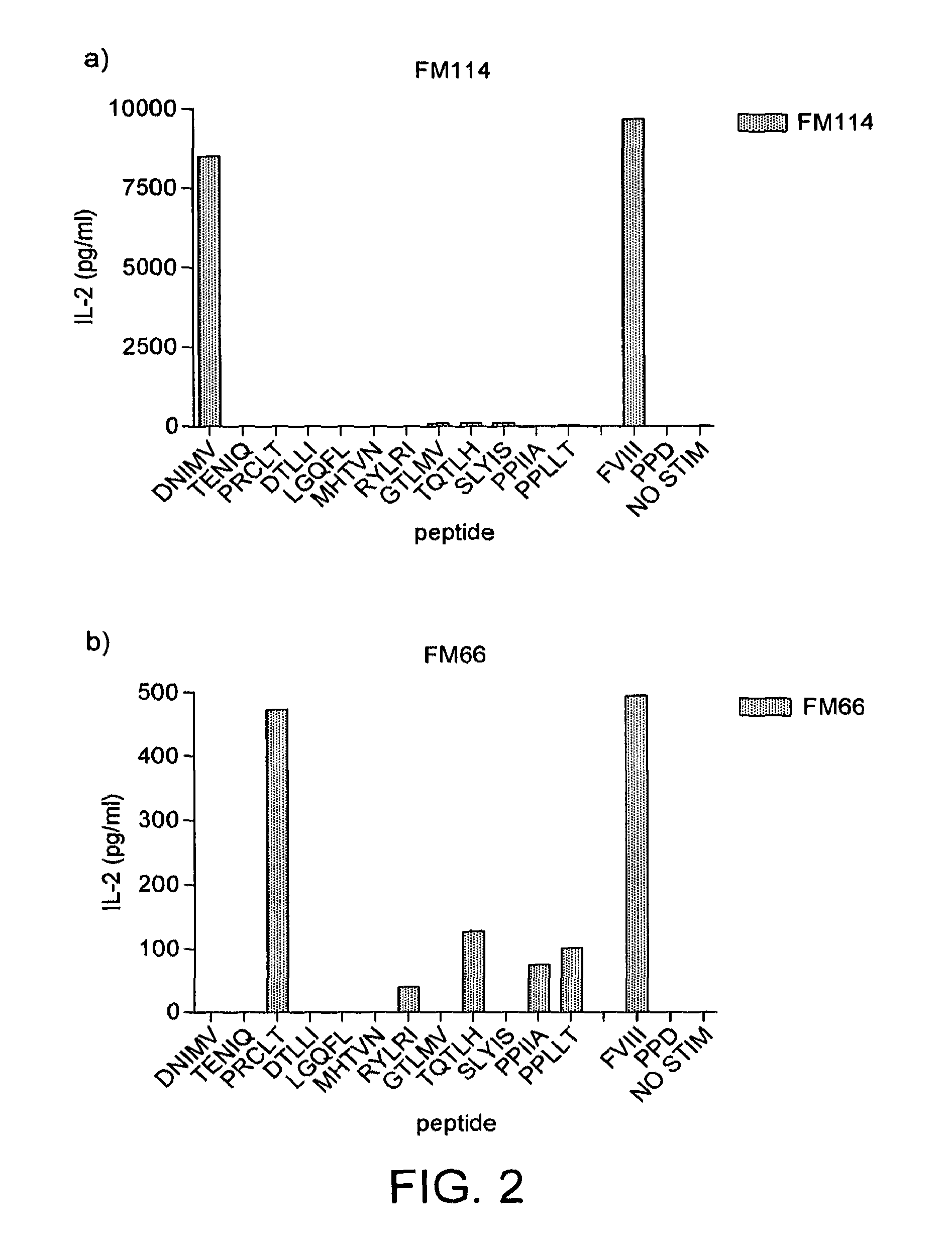 Peptide