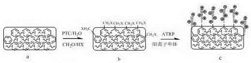 A preparation method for grafting cationic antibacterial coating on the surface of aromatic polymer material