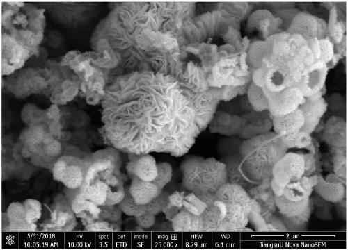 Flower-shaped molybdenum diselenide/carbon nano tube composite material as well as synthetic method and application thereof