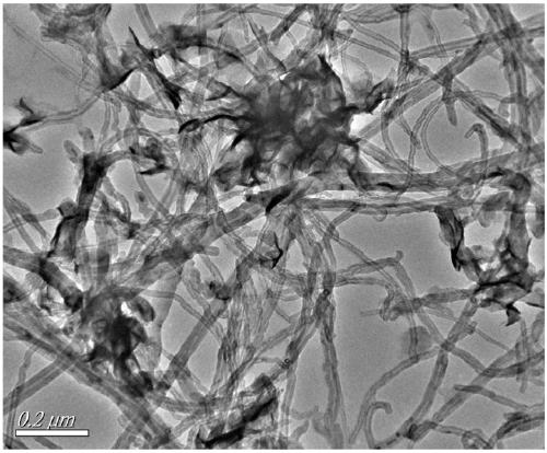 Flower-shaped molybdenum diselenide/carbon nano tube composite material as well as synthetic method and application thereof