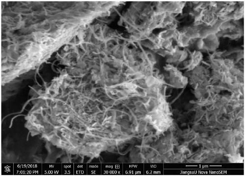 Flower-shaped molybdenum diselenide/carbon nano tube composite material as well as synthetic method and application thereof