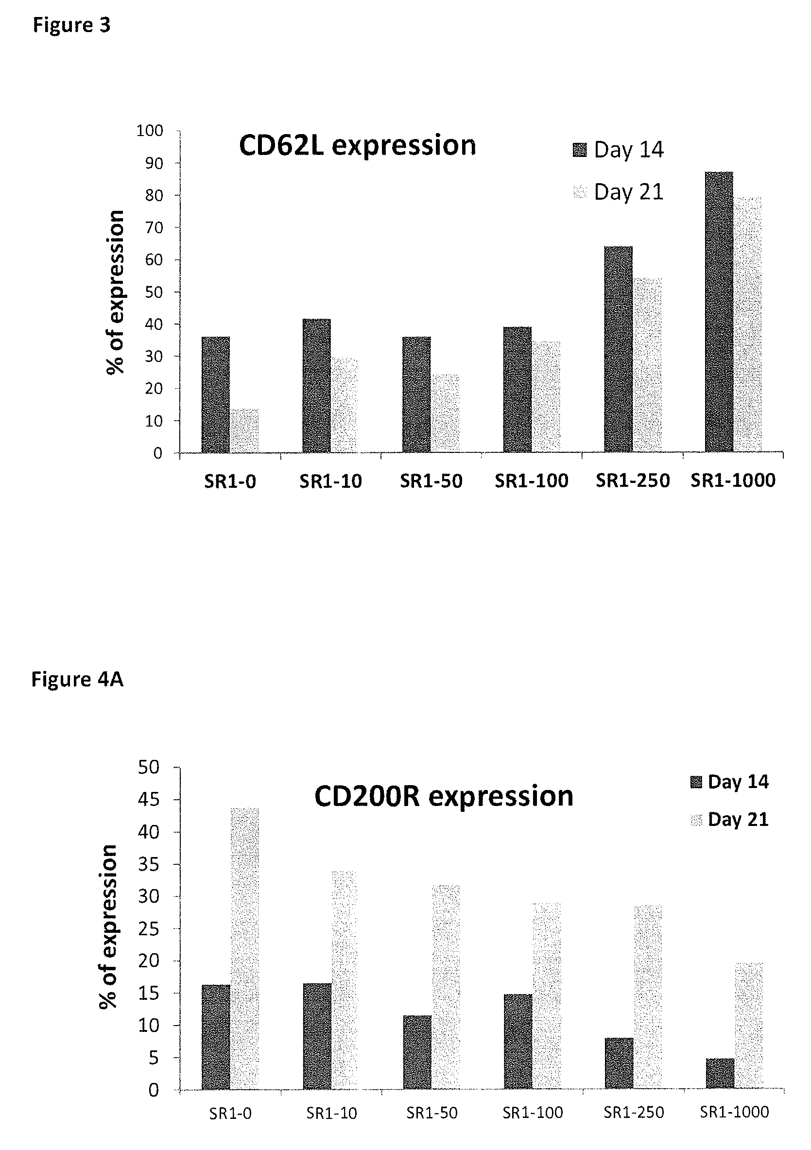 Enhancement of natural killer (NK) cell proliferation and activity