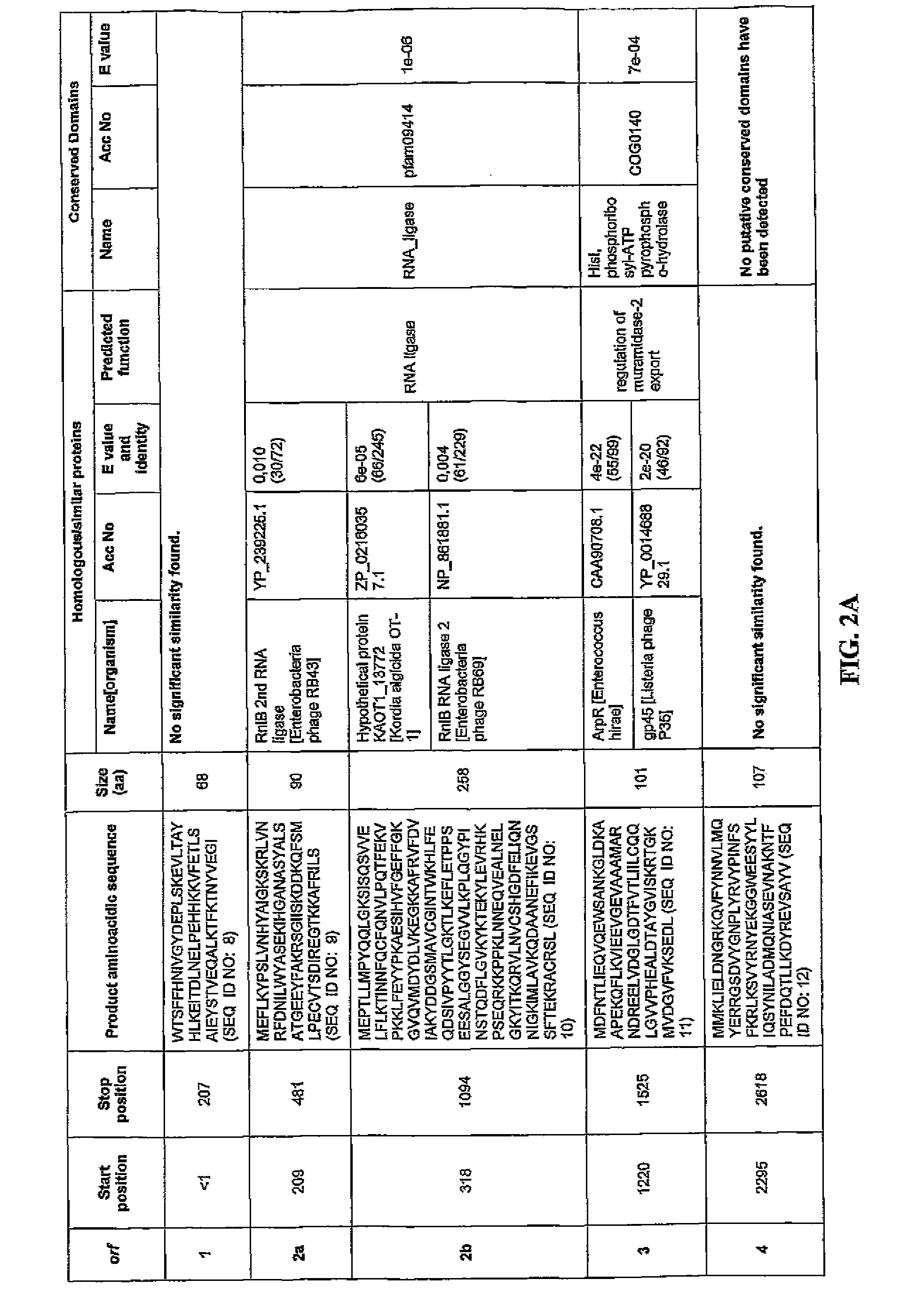 Antibacterial phage, phage peptides and methods of use thereof