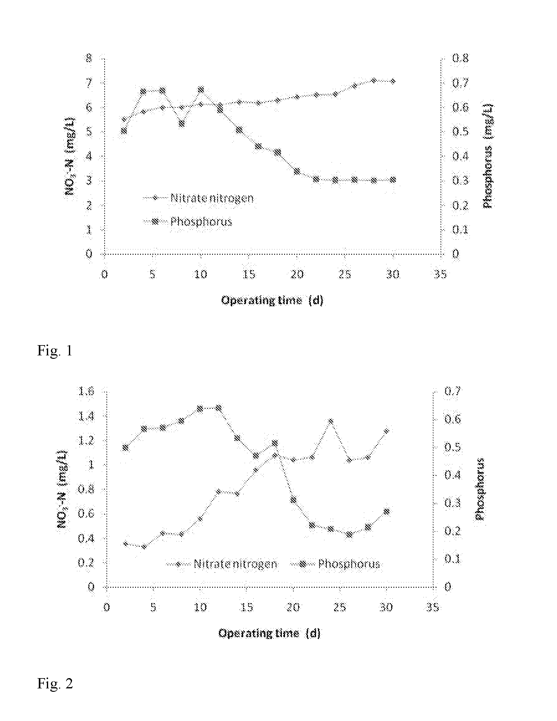 Natural pyrrhotite biological filter and method for utilizing same to synchronously remove nitrate-nitrogen and phosphorus from water