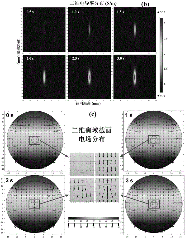 HIFU (high-intensity focused ultrasound) treatment curative effect monitoring and ultrasound dosage control system and method