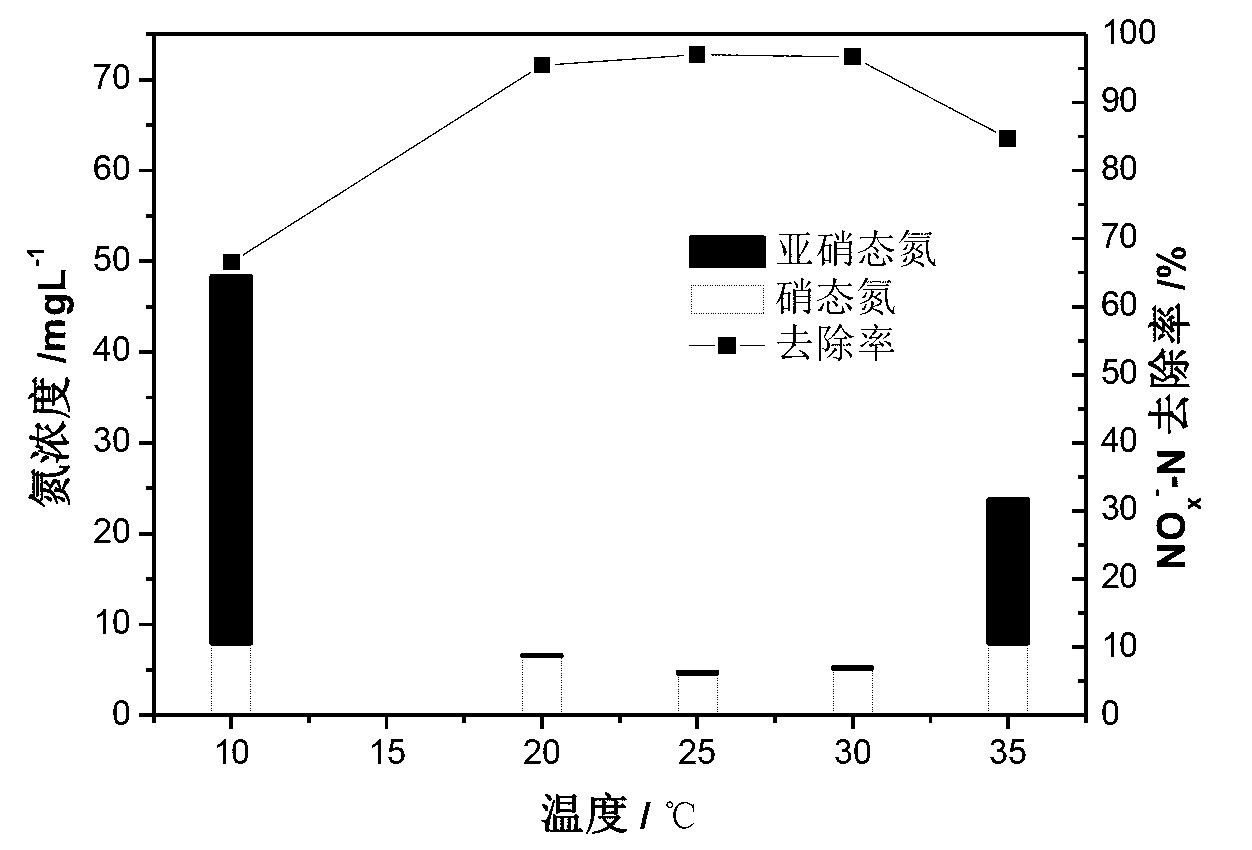 Facultative anaerobic denitrifying bacterium with self-flocculation capability and purpose thereof