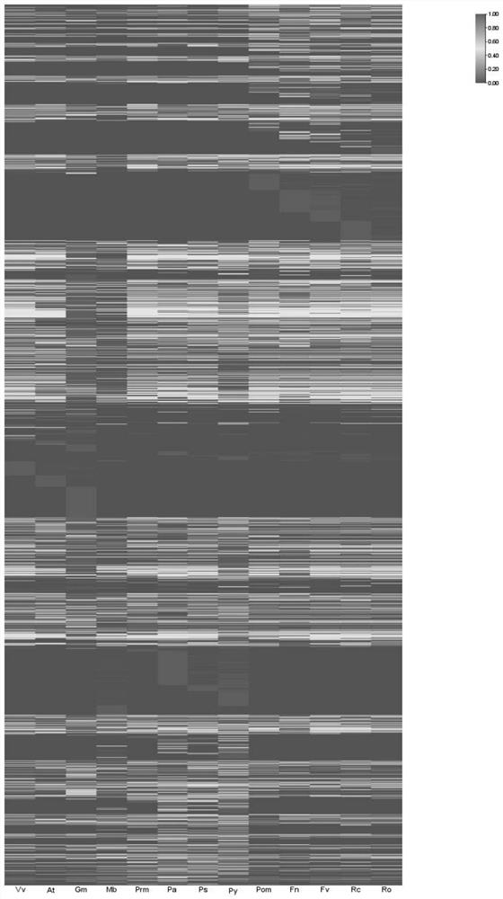 Method for identifying pedigree-specific amplified gene family