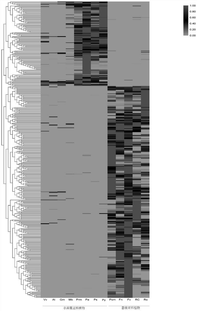 Method for identifying pedigree-specific amplified gene family