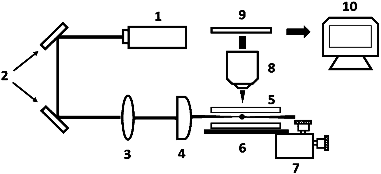 A label-free cell detection device and method based on light sheet illumination