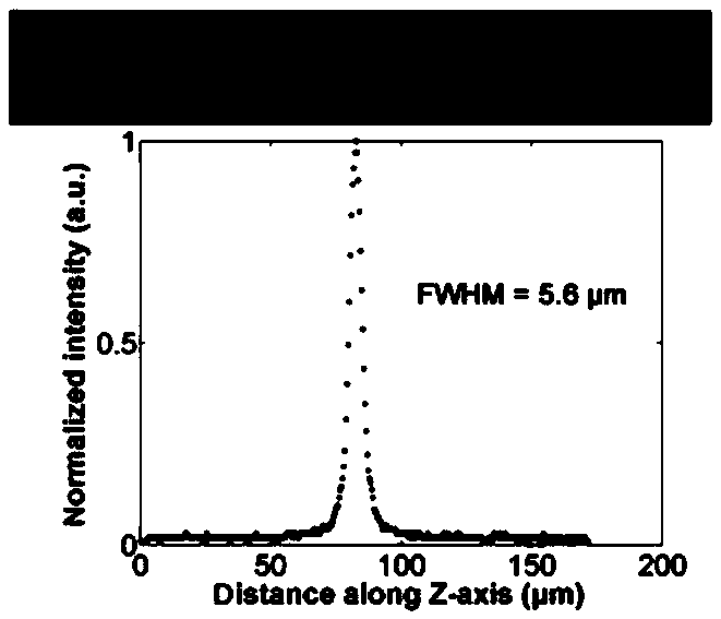 A label-free cell detection device and method based on light sheet illumination