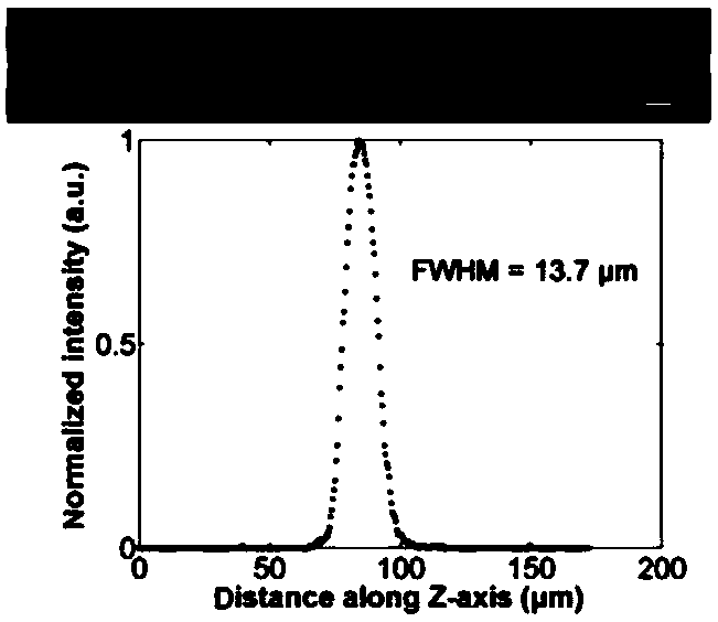 A label-free cell detection device and method based on light sheet illumination