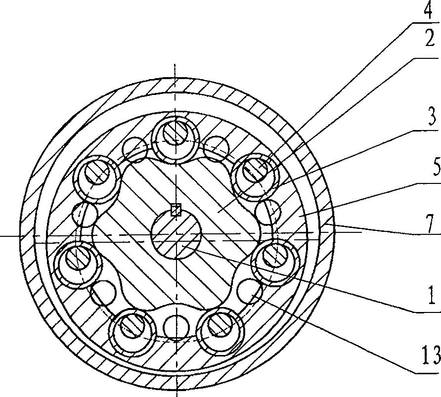 Pore-pin type cycloid rotor motor