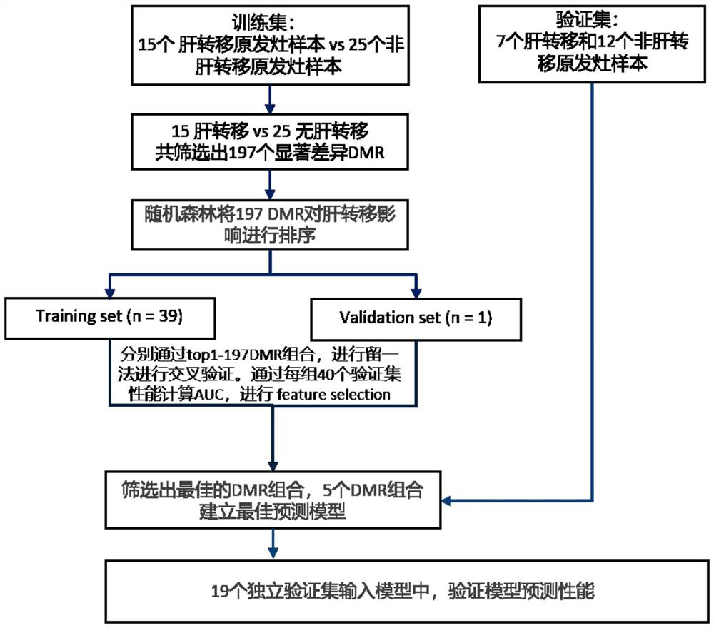 Diagnostic marker for predicting intestinal cancer liver metastasis and application