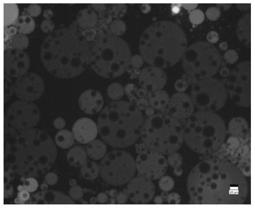 Probiotic preparation based on W1/O/W2 type dual emulsion structure, preparation method and application