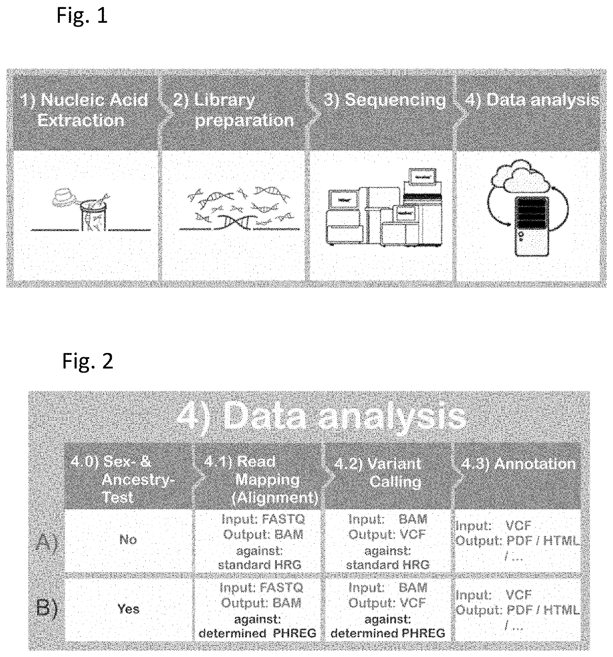 Systems and methods for genomic and genetic analysis