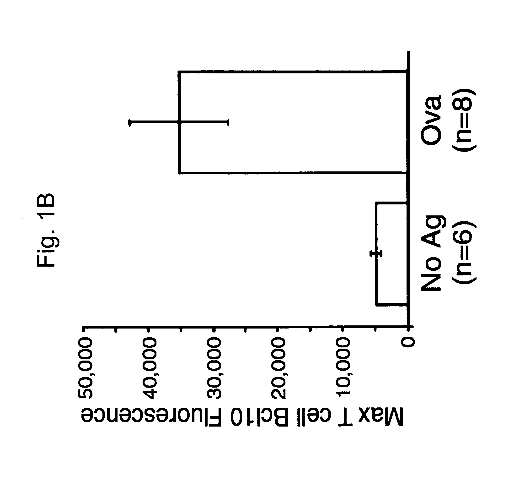 Method to identify regulators of cellular activation using Bcl10