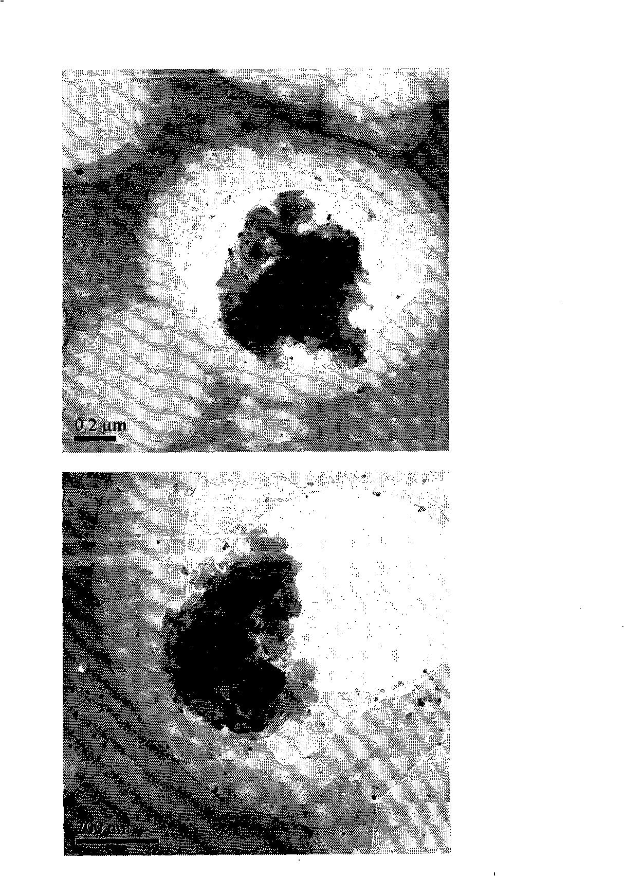 Preparation of polyaniline / argentum nano composite material