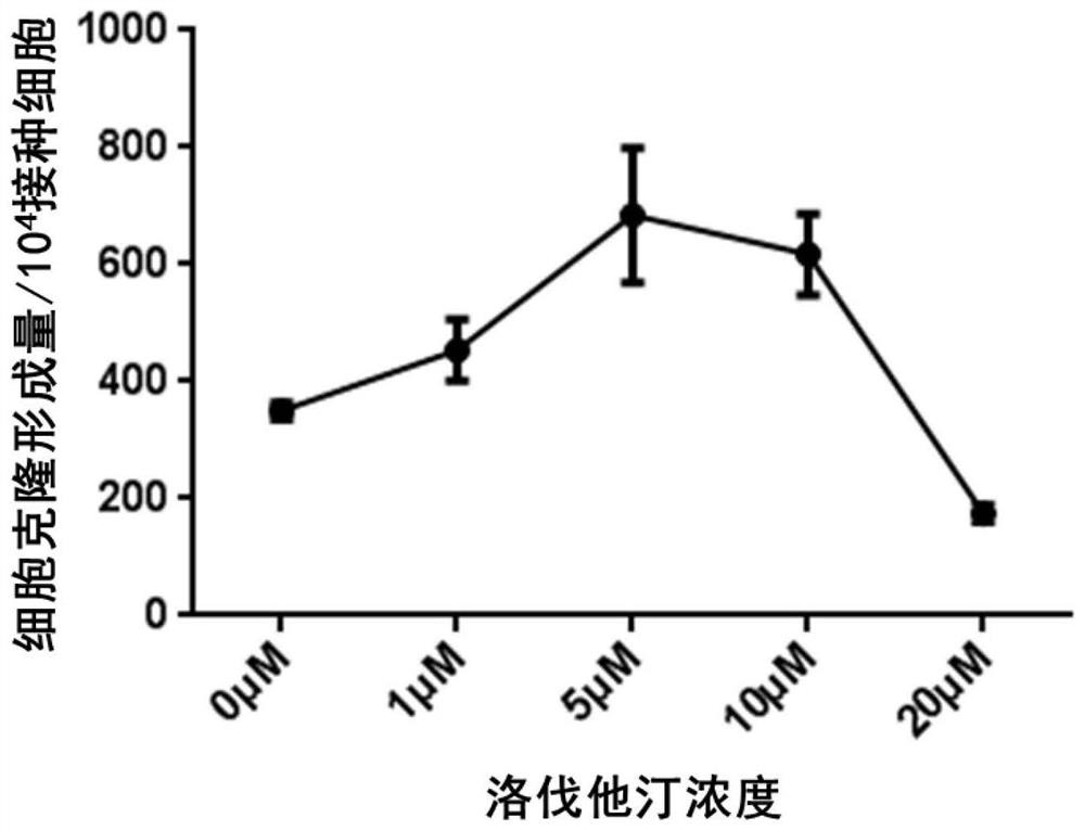 Application of statin compounds in preparation of drugs for promoting regeneration function of mammal spermatogonial stem cells