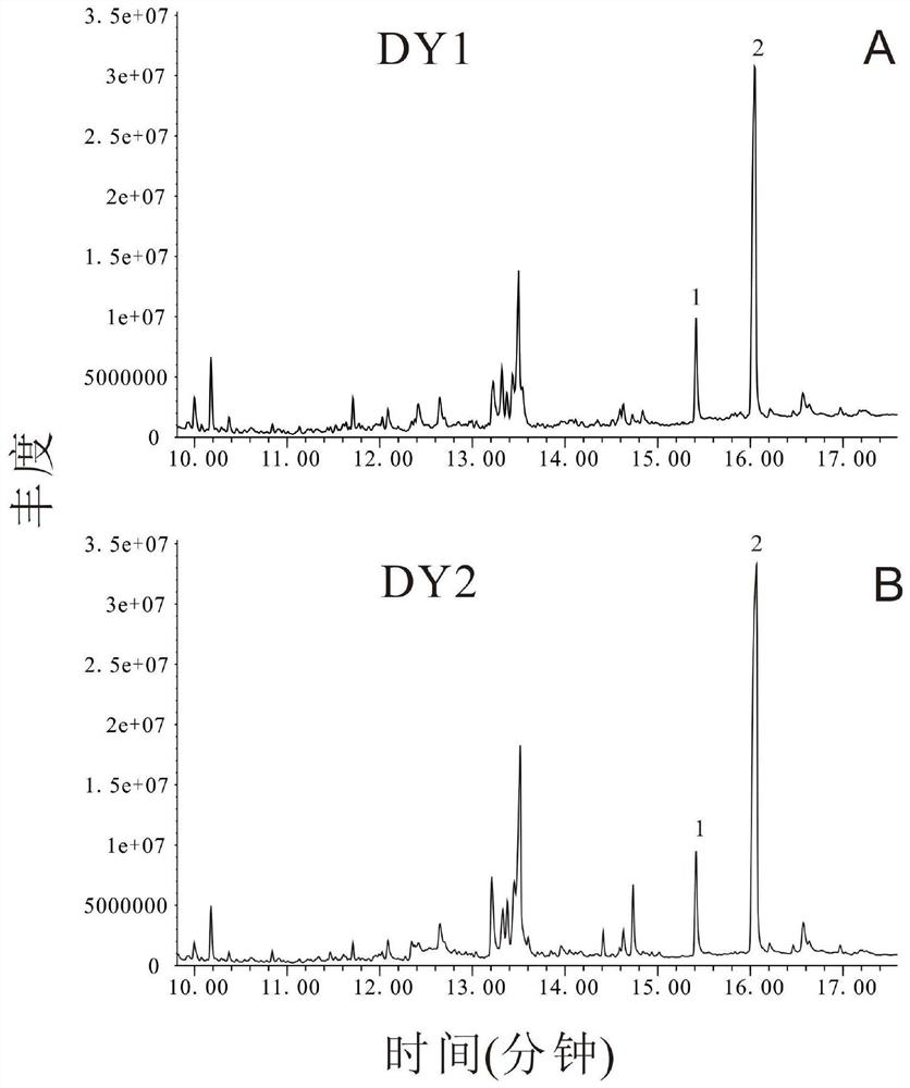 A kind of microorganism and method for biosynthesizing arachidine