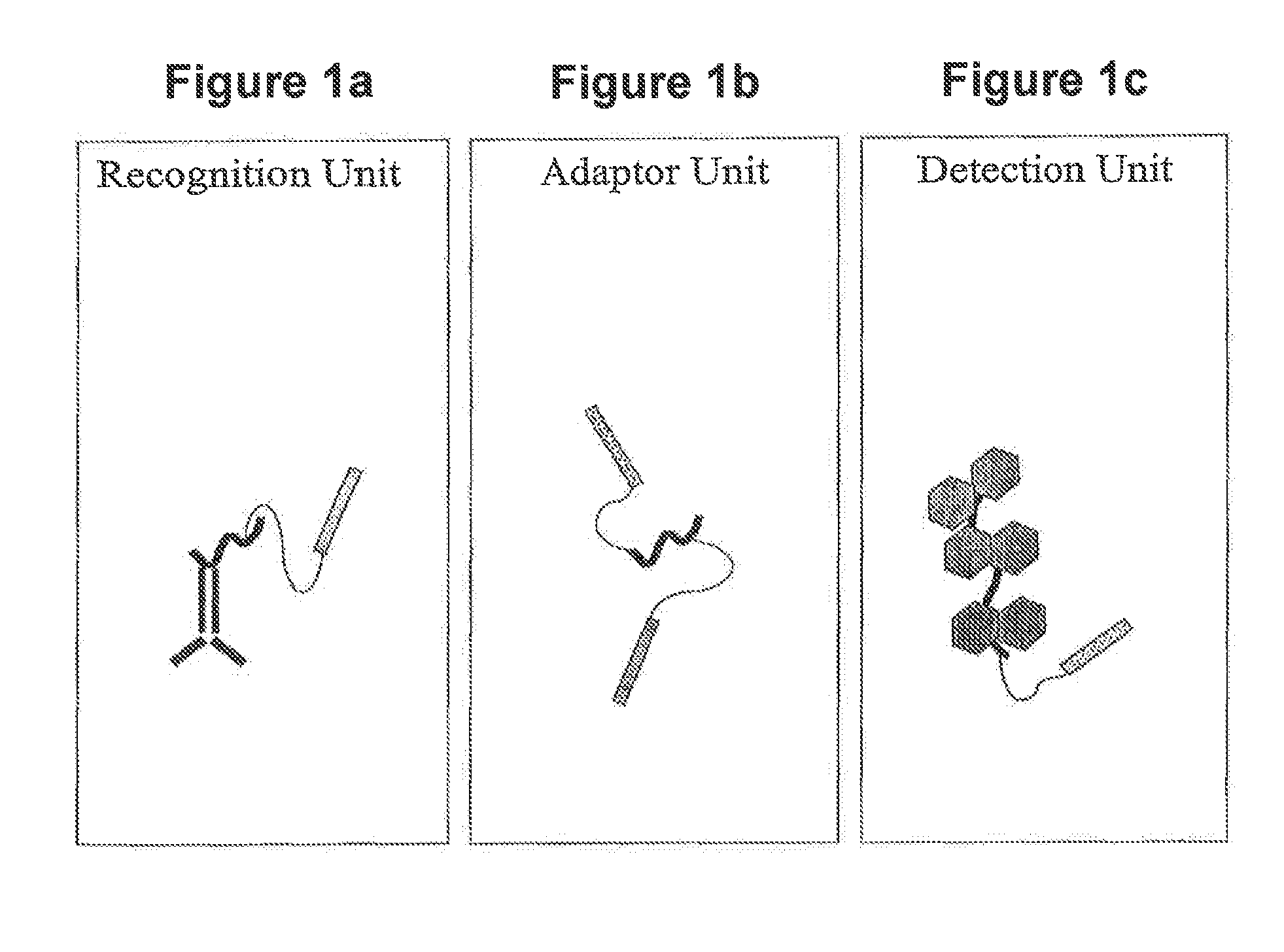 In situ hybridization detection method