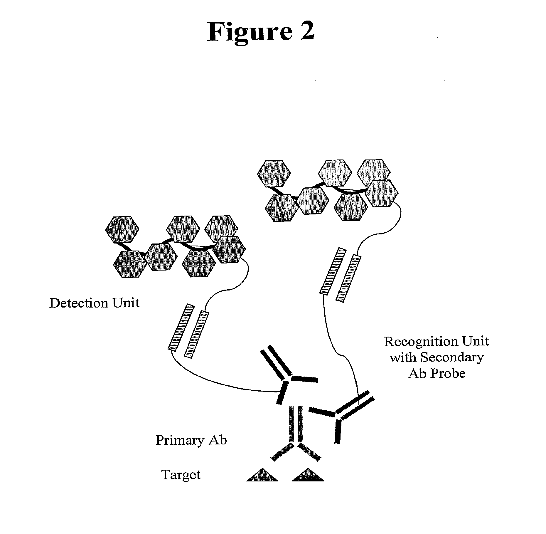 In situ hybridization detection method