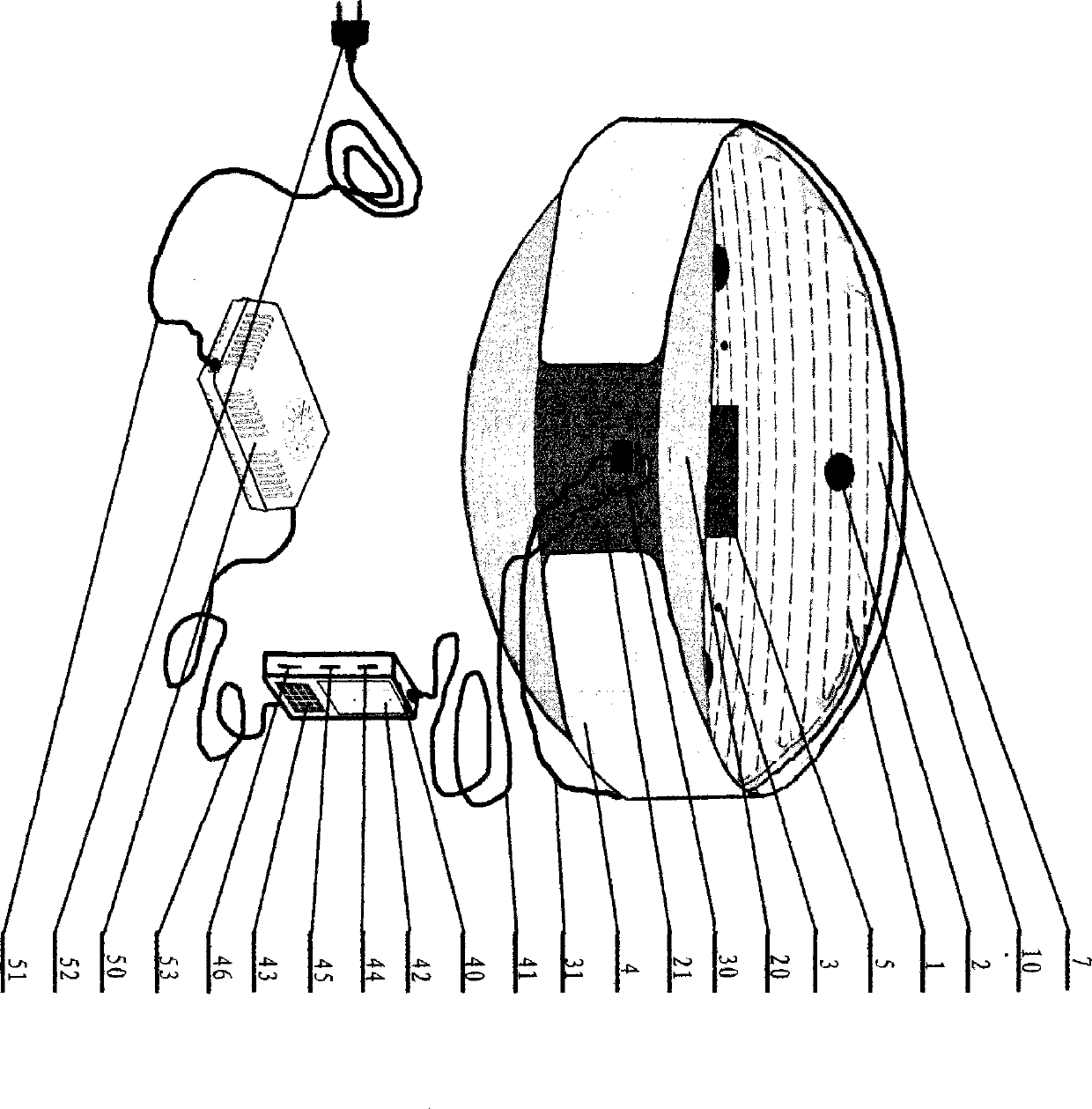 Back and belly electro-acupuncture heat therapy healthcare device