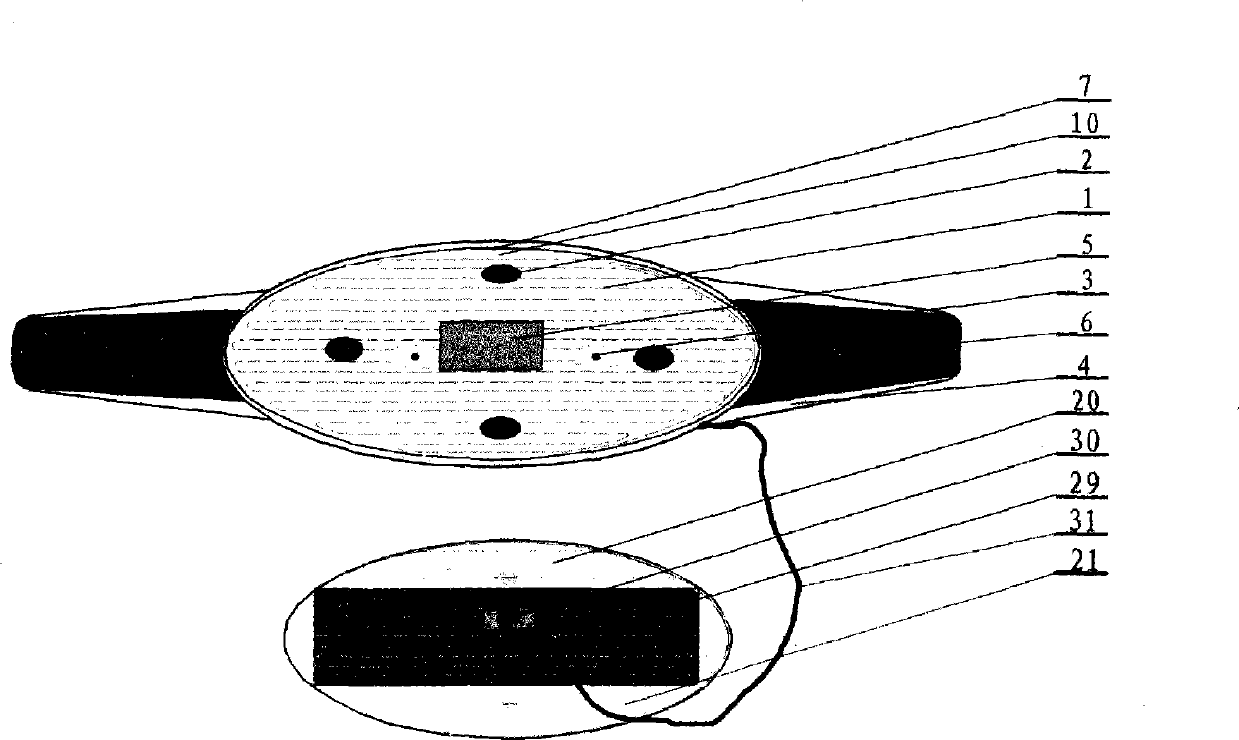 Back and belly electro-acupuncture heat therapy healthcare device