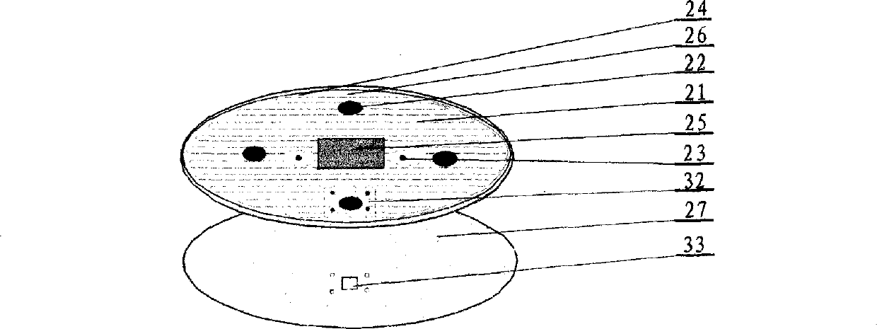 Back and belly electro-acupuncture heat therapy healthcare device