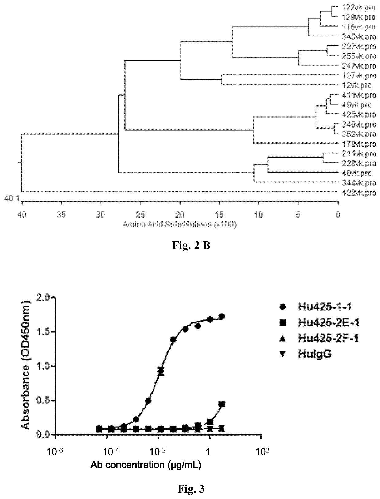 Anti-Tim-3 antibodies and use thereof