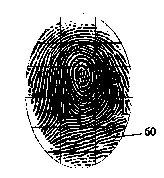 Unlocking method and device of touch screen terminal